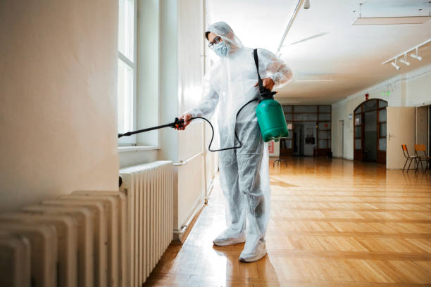 Best Organic or Eco-Friendly Pest Control  in Energy, IL